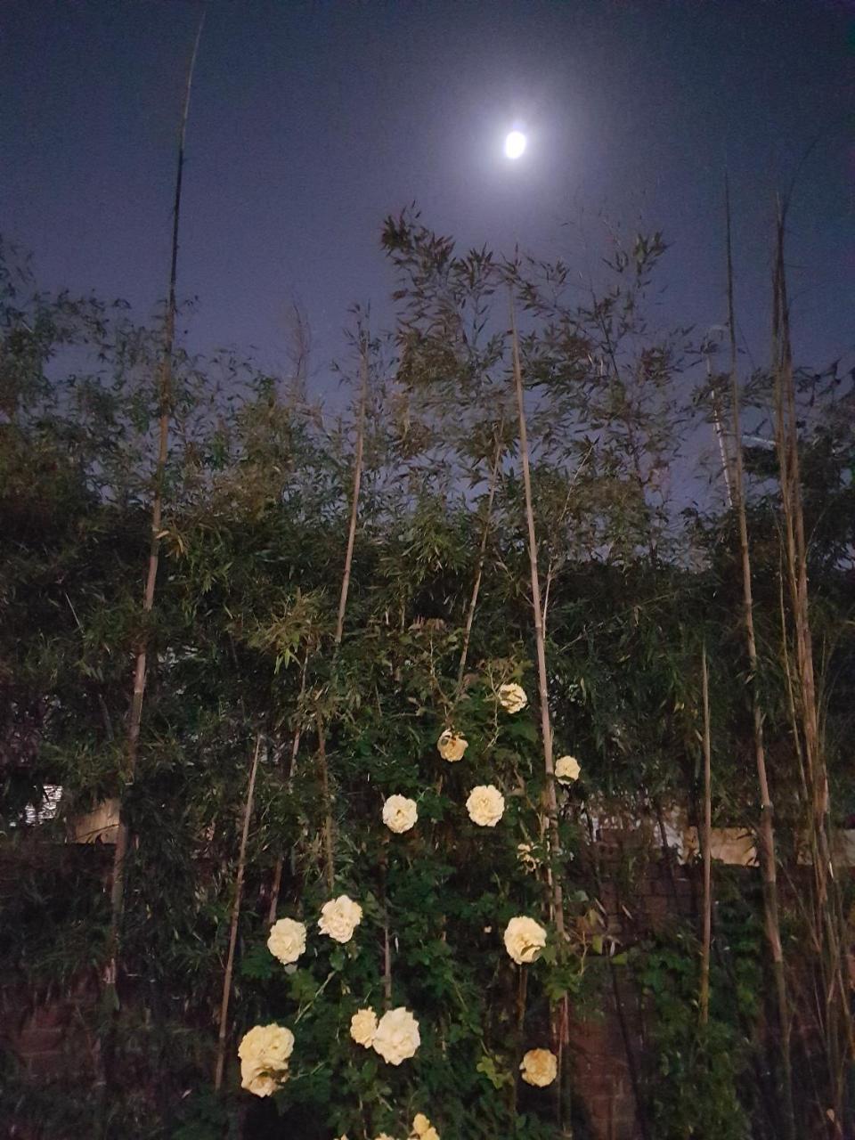 Gongsimga Hanok Guesthouse Seul Zewnętrze zdjęcie